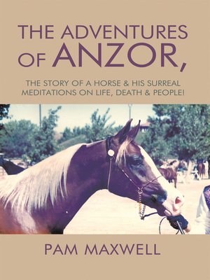 cover image of The Adventures of Anzor